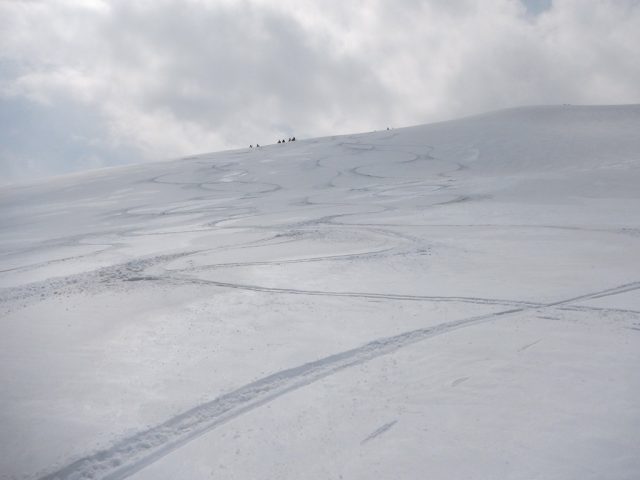 無木立の幸せ斜面