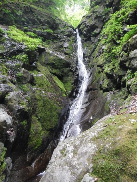 白矢ノ沢左沢大滝