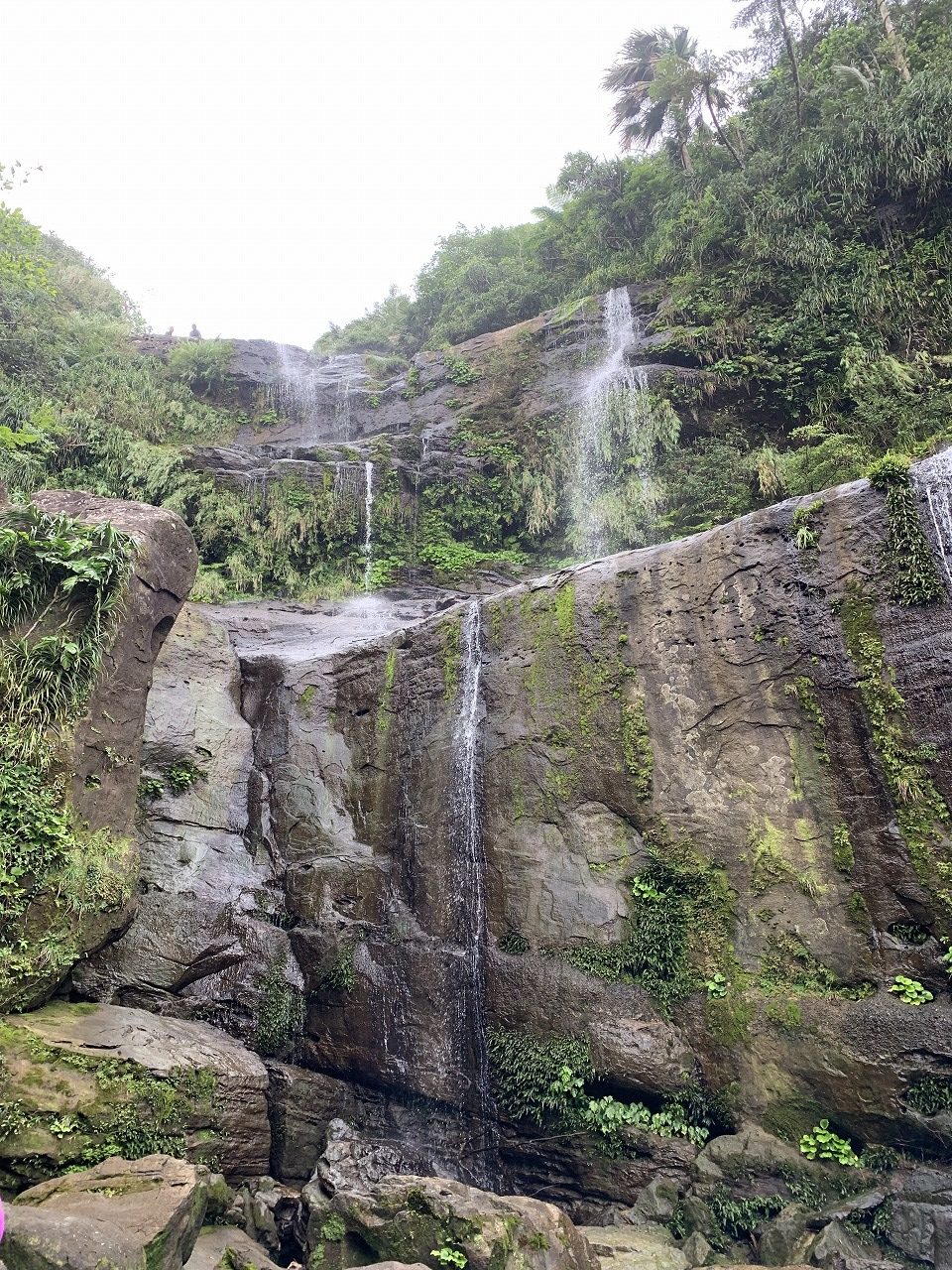 西表島ユチン川