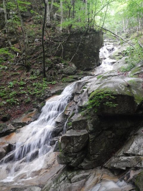 右岸支流のナメ滝