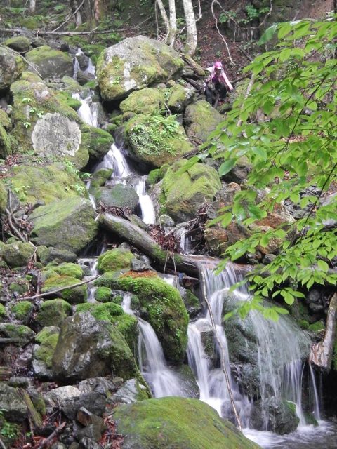 フリウギ沢上部