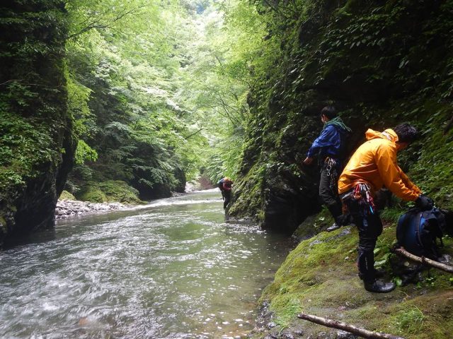 へつるか泳ぐか...