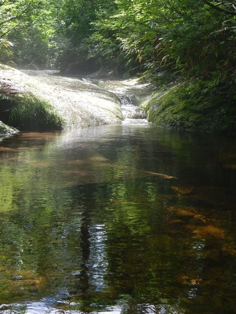溝になった流れが深いプールに流れ込む