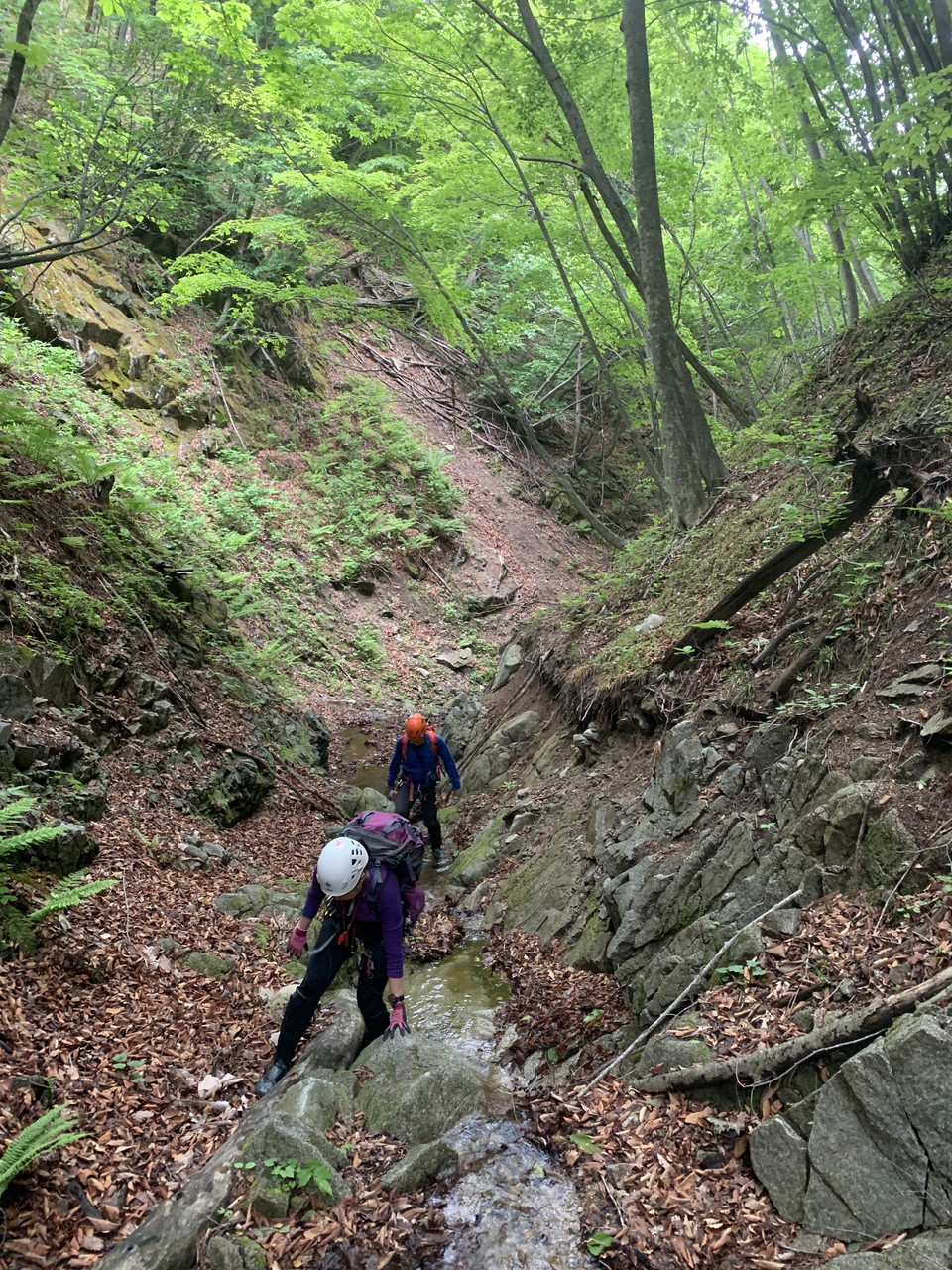 集中山行（春）B班：男鹿川芹沢820m左岸支流から日向倉山