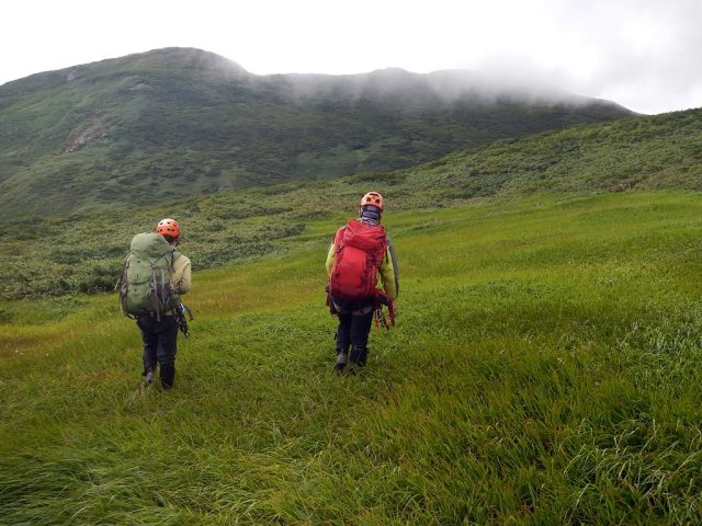登山道手前の草原