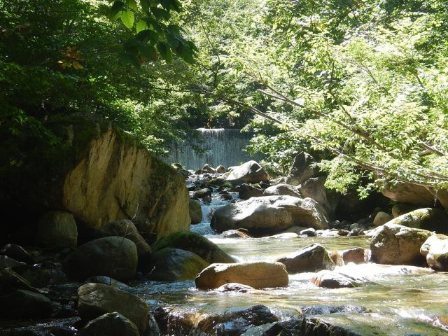 黒沢下流部の堰堤と大岩ゴーロ