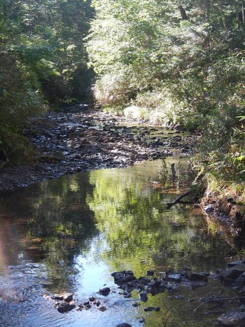 火打石沢源頭部の平らな河原