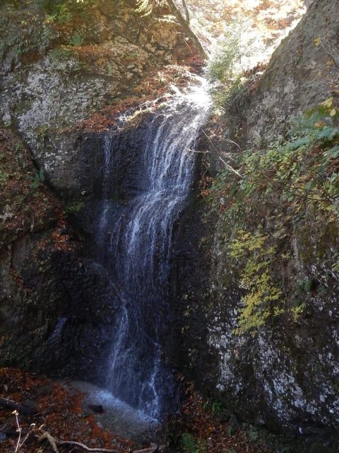 Co1070付近の10m付近の10m滝