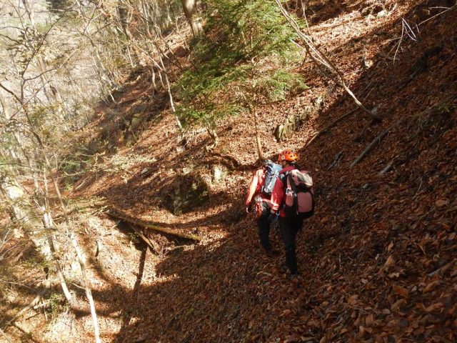 ニカイ谷左岸の山道