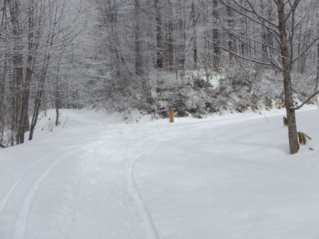 黒姫山との分岐でまず一息