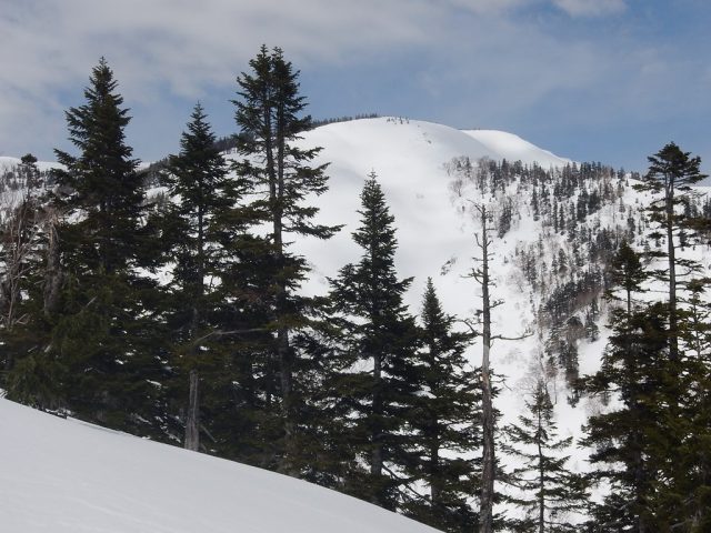 大戸沢岳が見えてきた