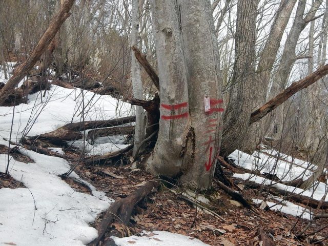 大戸沢岳への登りで