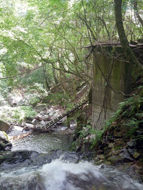 壊れた登山道の木橋とコンクリート橋脚の遺構
