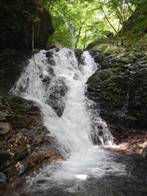 連瀑帯後半の5x7m滝