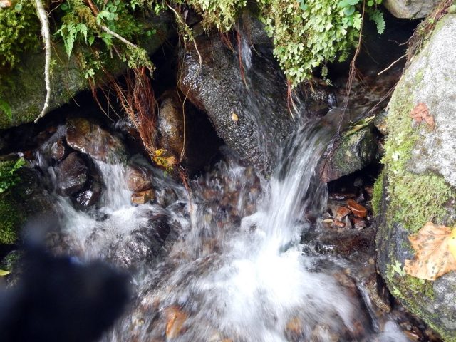 黒川谷中流部の湧水