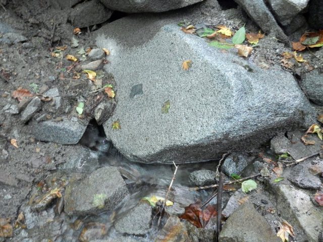 水源の湧水（その2）
