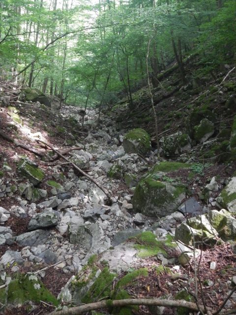 下降したホウロク沢