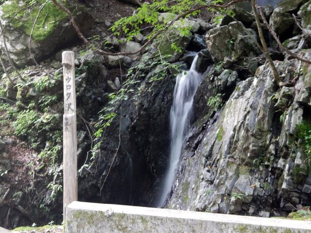 林道からホウロク沢を見る