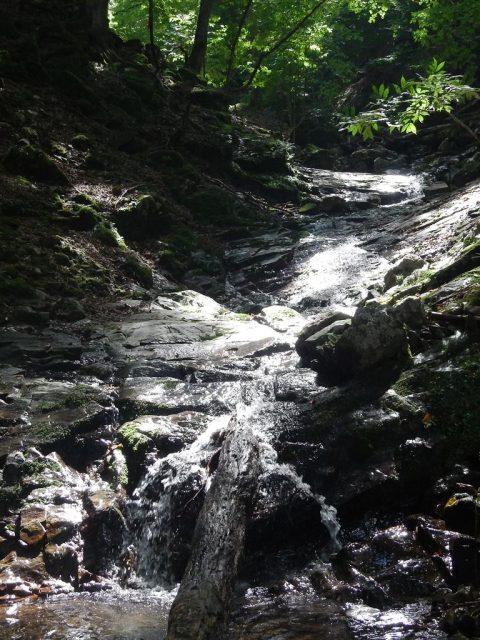 タナ沢下部のナメ