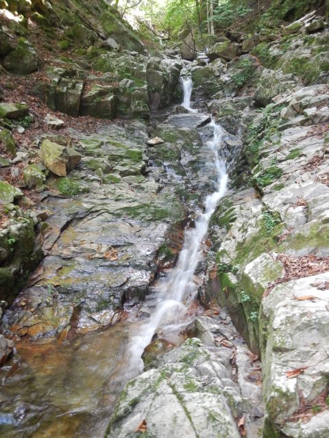 タナ沢下流部トイ状の滝