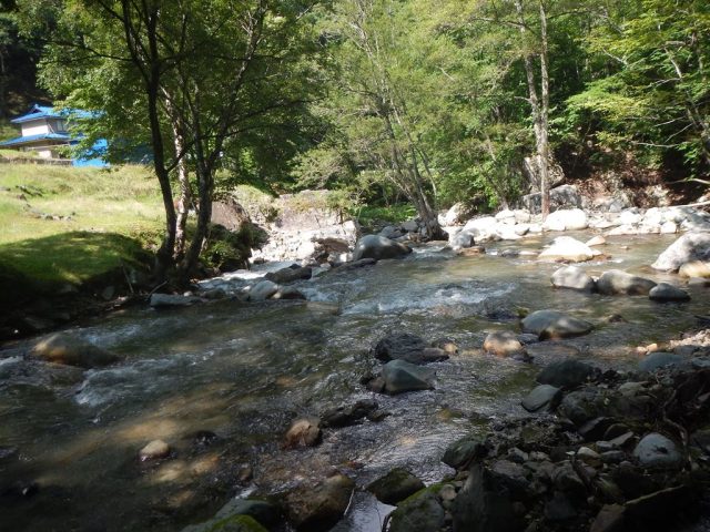 タナ沢出合付近