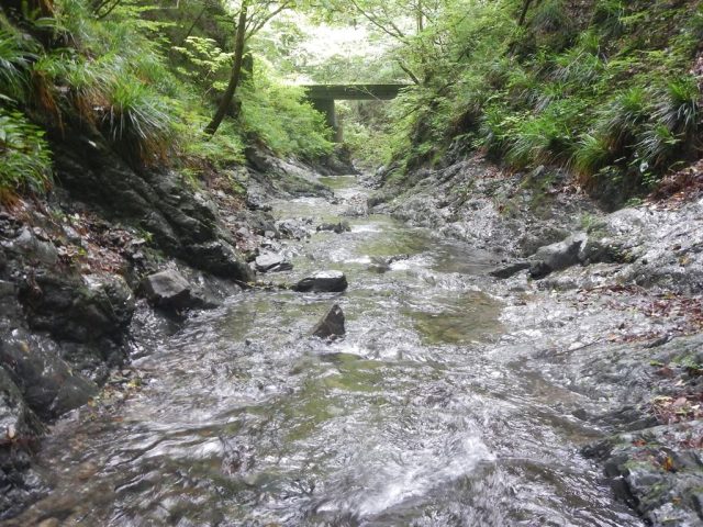 出合直後の穏やかな渓相