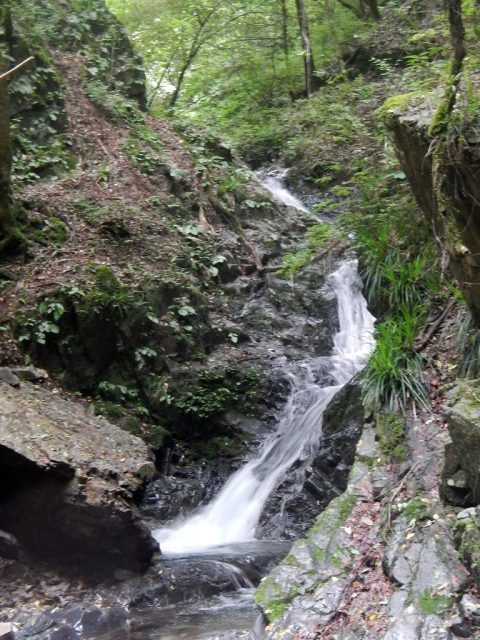 弓なりにカーブした滝