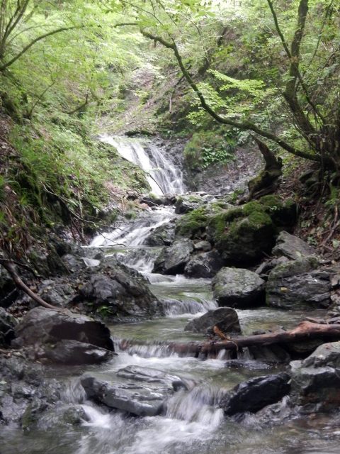 トバノ万六沢との出合から本流を望む