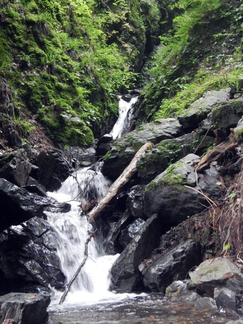 湯場ノ沢のハイライトの狭隘部