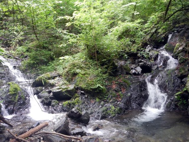 ナカノ万六沢出合