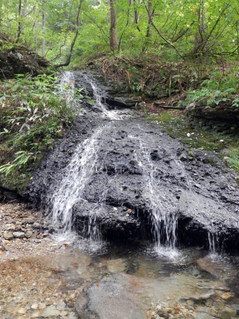 仮称・三ノ沢出合