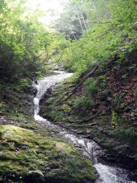 ナメの途中に懸かるナメ滝