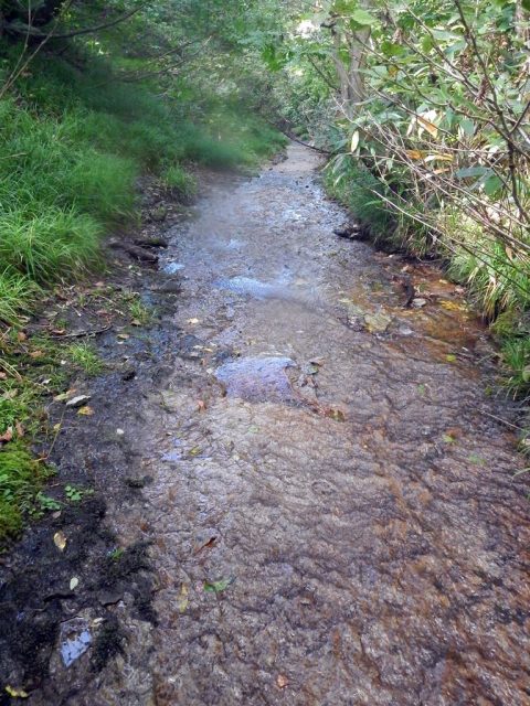 左俣左沢最上流部のナメ