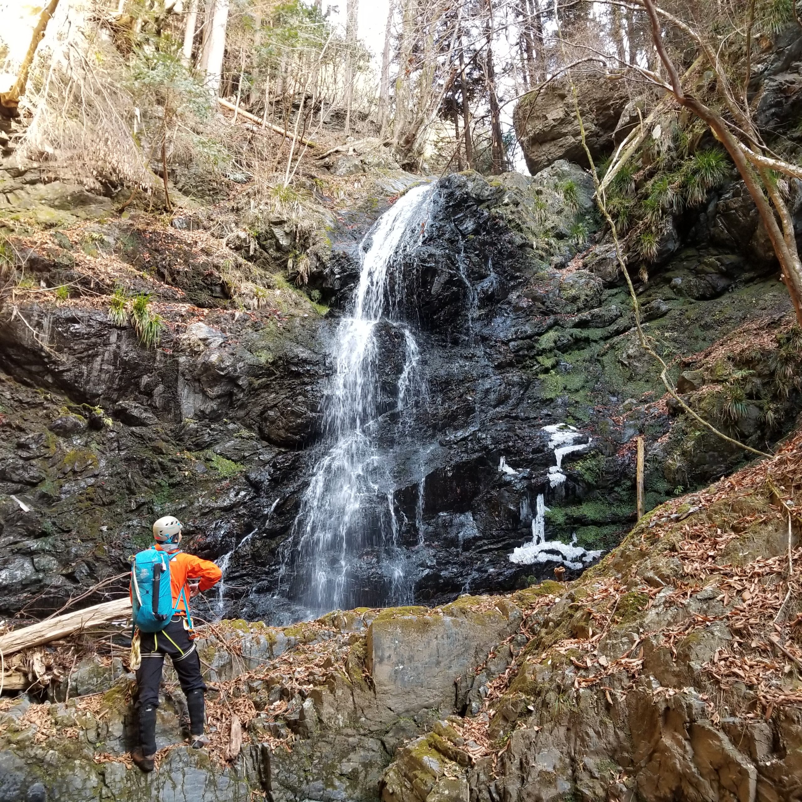 相模川水系　鶴川大群沢（カナヤマ窪）