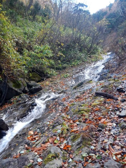 しばらく歩くと、ナメが出てくる