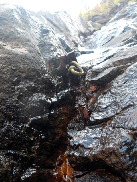 残置ハーケンを見つけた