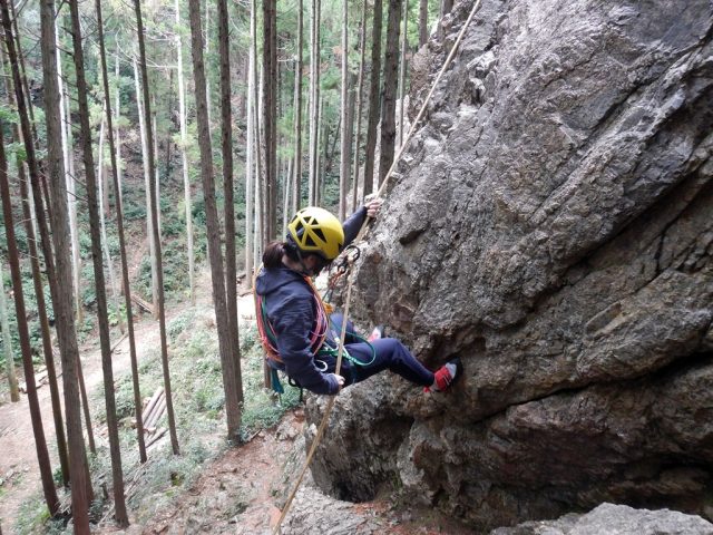 降りてきました