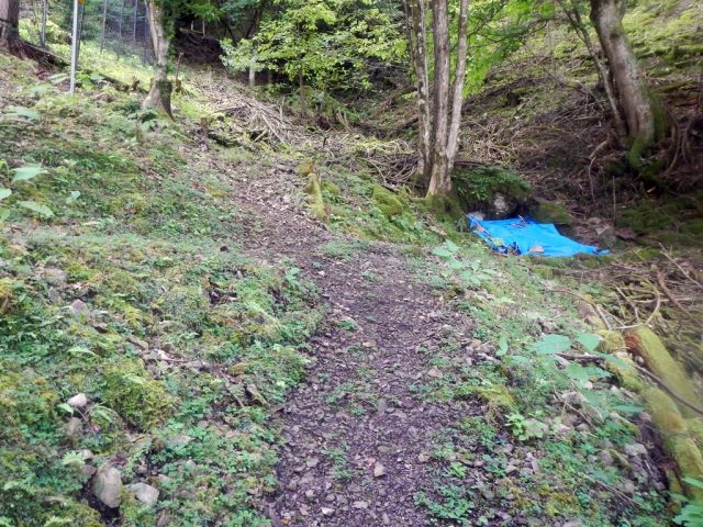 サカサ沢上部の十字路