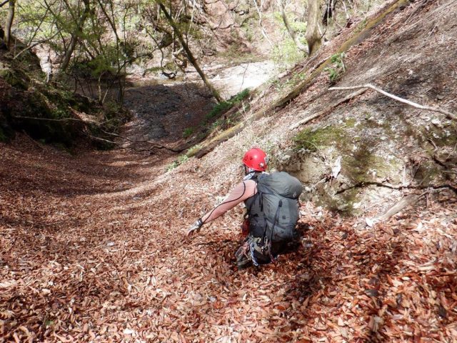 落ち葉のラッセル