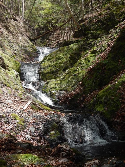 次々とナメの小滝が懸かる