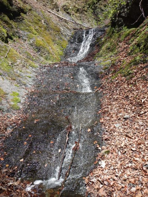まだまだ続く、ナメ・ナメ小滝
