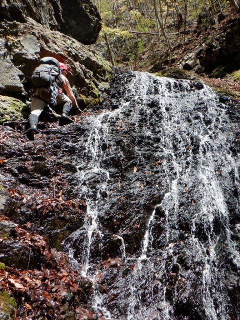 7m滝、登攀ルート偵察中