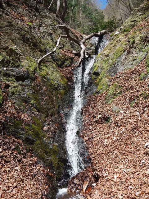 落ち口に倒木の乗った5m滝