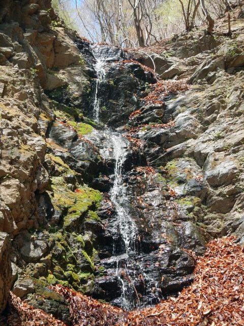 下部が落ち葉で埋まった2段の滝