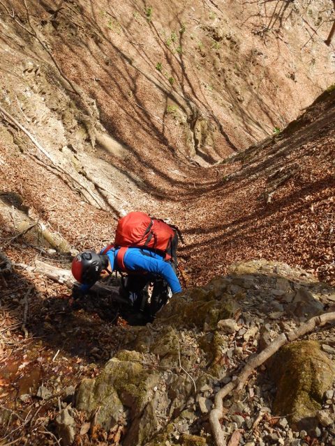 詰めも落ち葉のラッセル