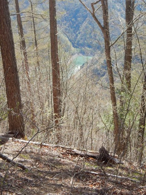 登山道からわずかに松姫湖の湖面がのぞく