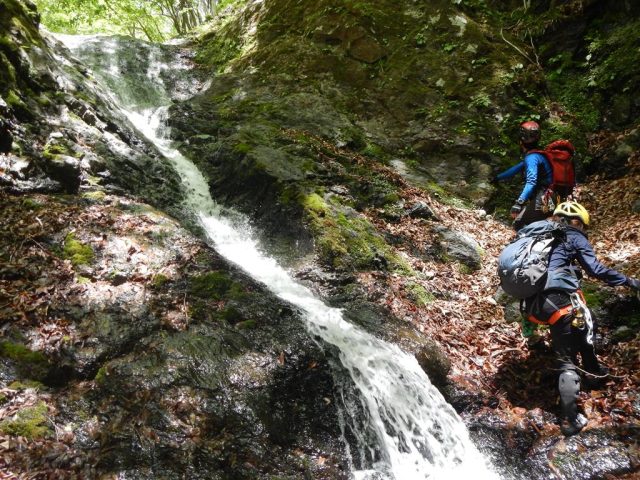 左岸を小さく巻き気味に