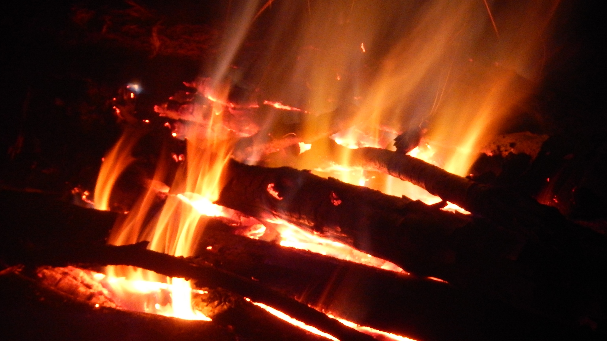 舟岐川黒沢での焚き火