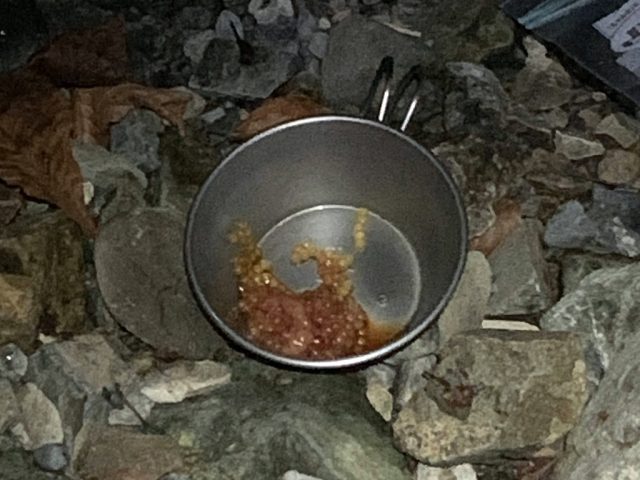 イワナのイクラ