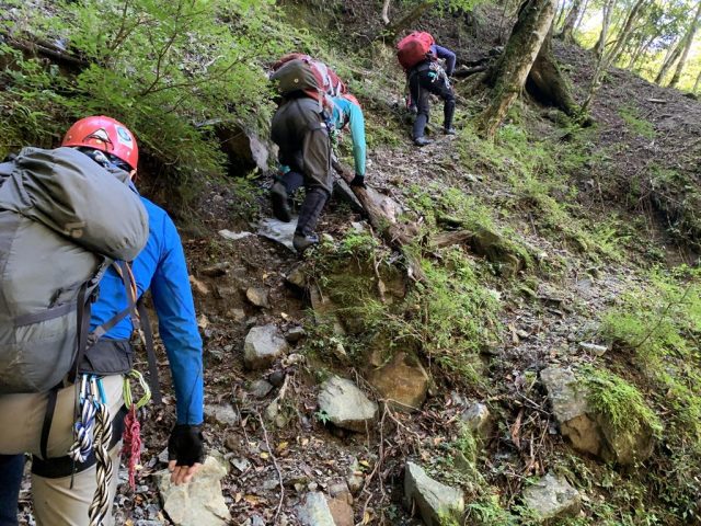 本棚を高巻き中